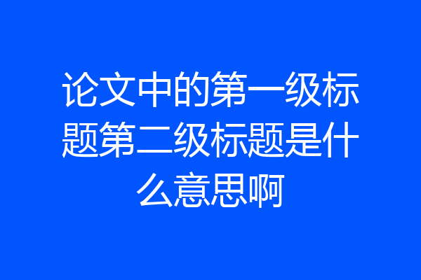 论文中的第一级标题第二级标题是什么意思啊