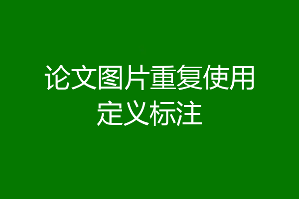 论文图片重复使用定义标注