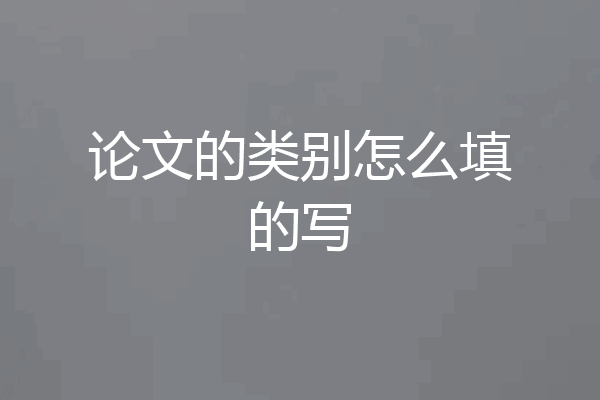 论文的类别怎么填的写