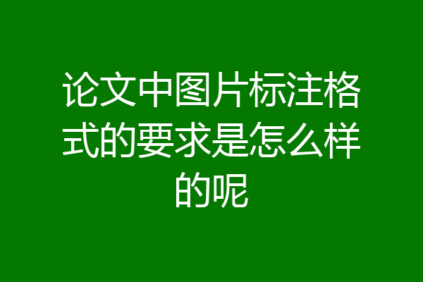 论文中图片标注格式的要求是怎么样的呢