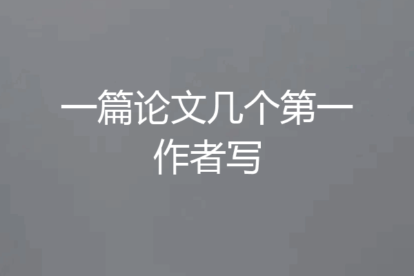 一篇论文几个第一作者写