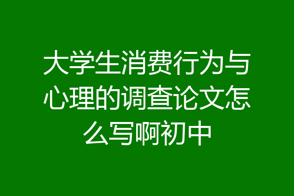大学生消费行为与心理的调查论文怎么写啊初中