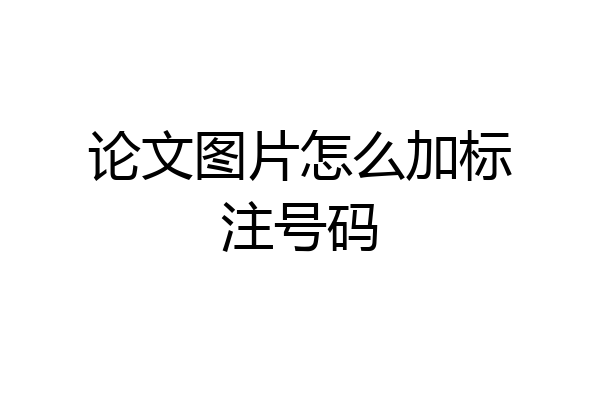 论文图片怎么加标注号码