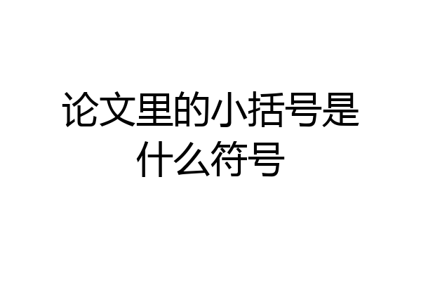 论文里的小括号是什么符号