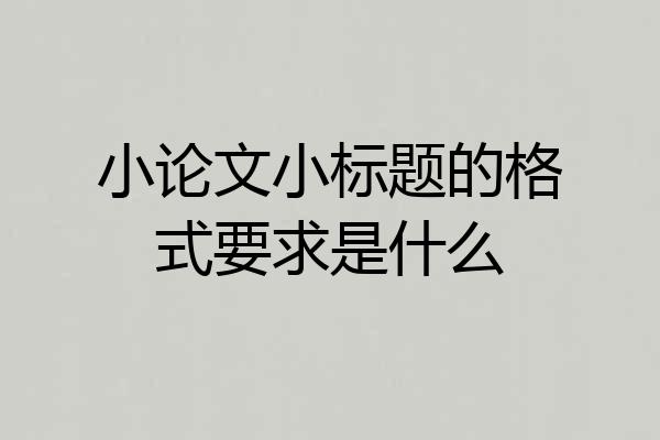 小论文小标题的格式要求是什么