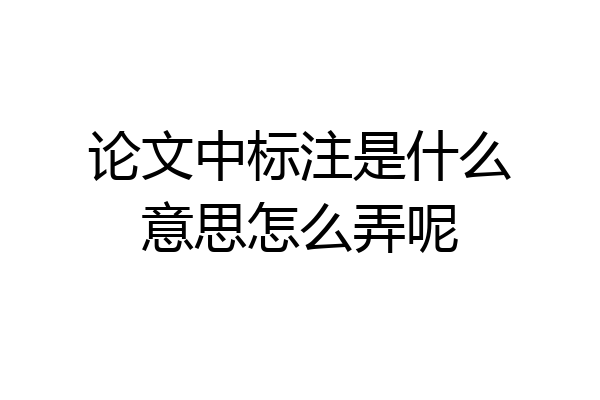 论文中标注是什么意思怎么弄呢