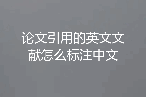 论文引用的英文文献怎么标注中文