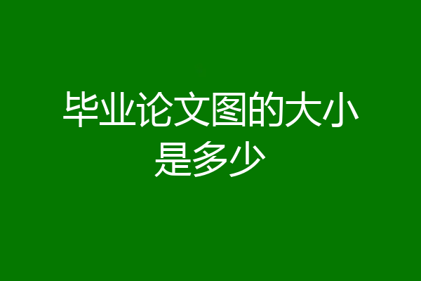 毕业论文图的大小是多少