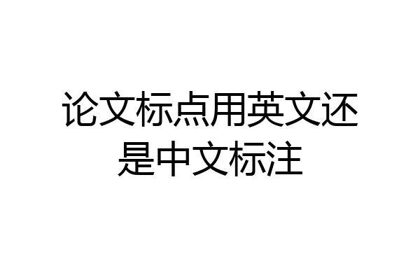 论文标点用英文还是中文标注