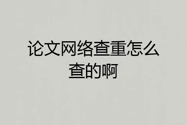 论文网络查重怎么查的啊