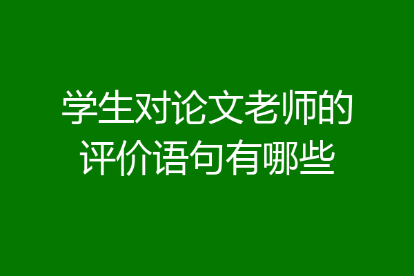 学生对论文老师的评价语句有哪些
