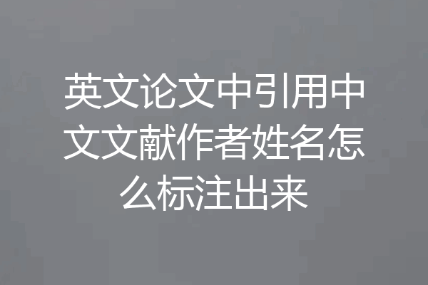 英文论文中引用中文文献作者姓名怎么标注出来