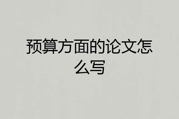 预算方面的论文怎么写