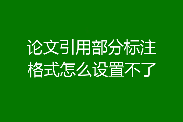论文引用部分标注格式怎么设置不了