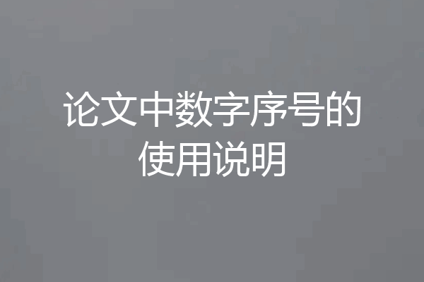 论文中数字序号的使用说明