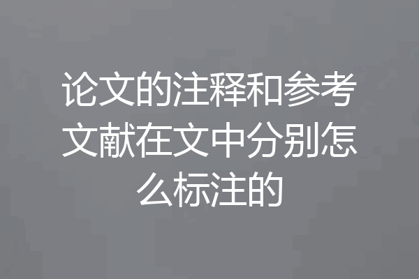 论文的注释和参考文献在文中分别怎么标注的