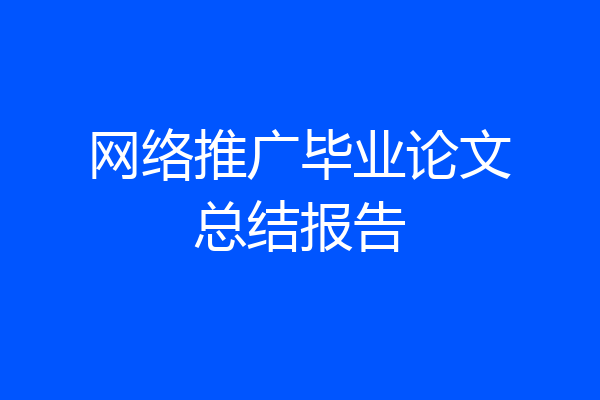网络推广毕业论文总结报告