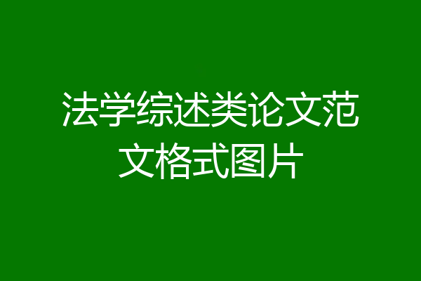 法学综述类论文范文格式图片