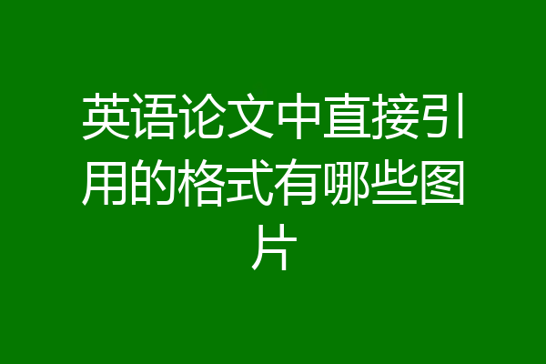 英语论文中直接引用的格式有哪些图片