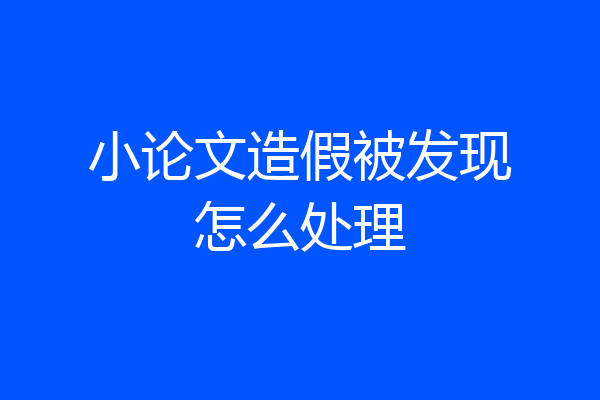 小论文造假被发现怎么处理