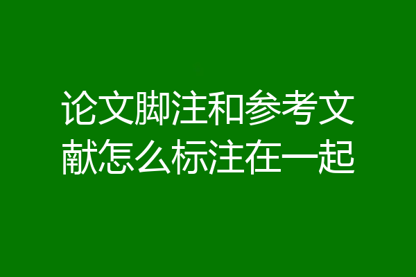论文脚注和参考文献怎么标注在一起