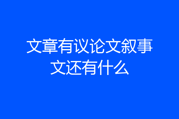 文章有议论文叙事文还有什么