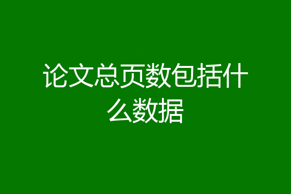 论文总页数包括什么数据
