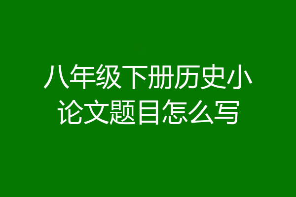 八年级下册历史小论文题目怎么写