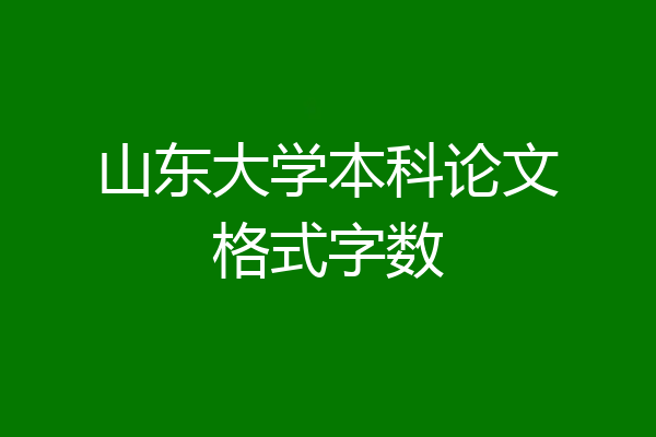 山东大学本科论文格式字数