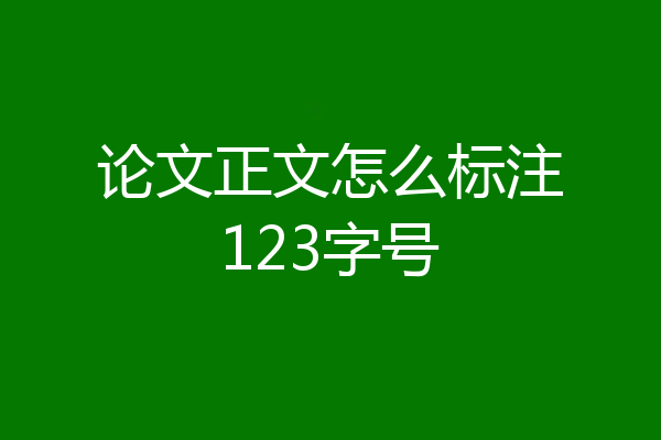 论文正文怎么标注123字号