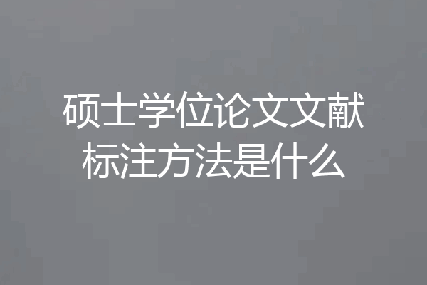 硕士学位论文文献标注方法是什么