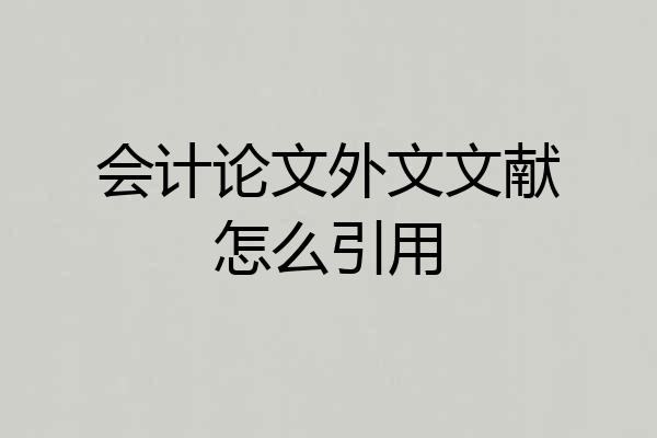 会计论文外文文献怎么引用