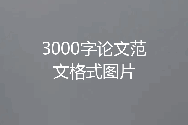 3000字论文范文格式图片