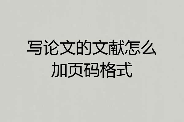 写论文的文献怎么加页码格式