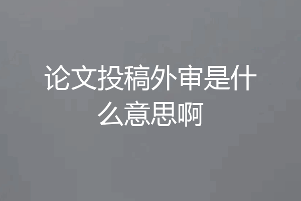 论文投稿外审是什么意思啊