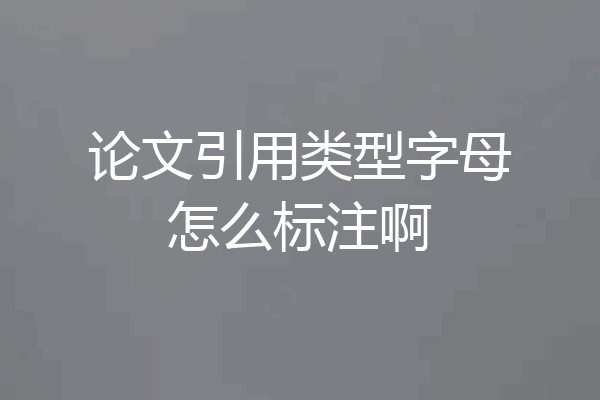 论文引用类型字母怎么标注啊