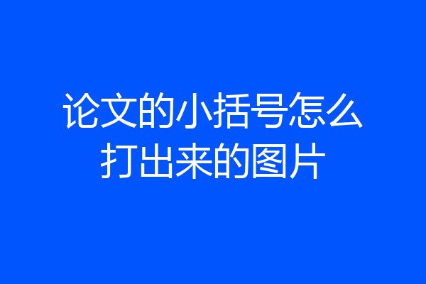 论文的小括号怎么打出来的图片