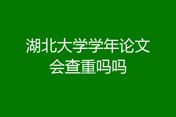 湖北大学学年论文会查重吗吗