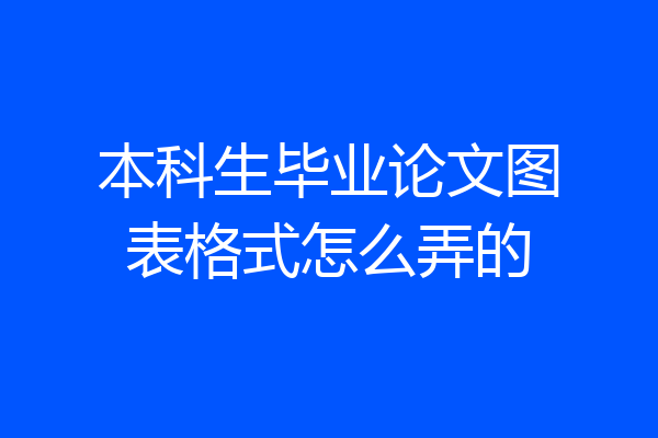本科生毕业论文图表格式怎么弄的