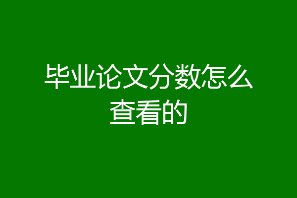 毕业论文分数怎么查看的