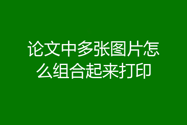 论文中多张图片怎么组合起来打印