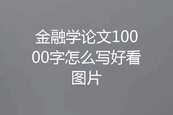 金融学论文10000字怎么写好看图片