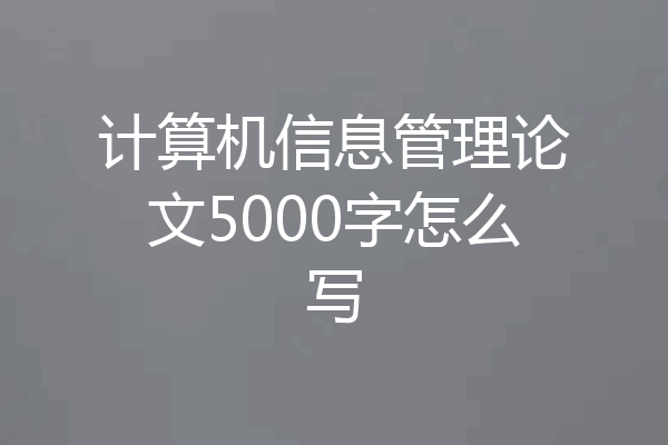 计算机信息管理论文5000字怎么写