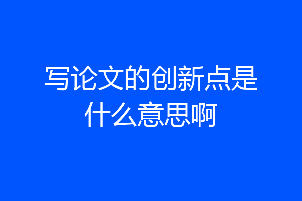 写论文的创新点是什么意思啊