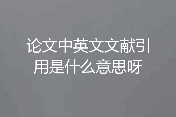 论文中英文文献引用是什么意思呀