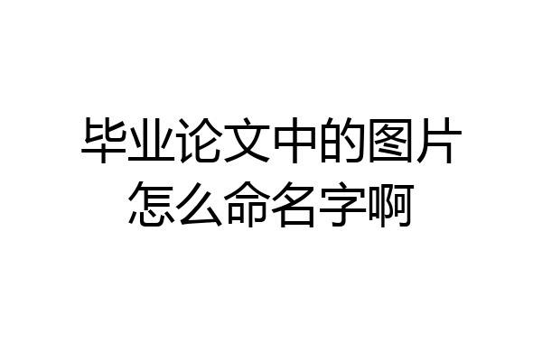 毕业论文中的图片怎么命名字啊