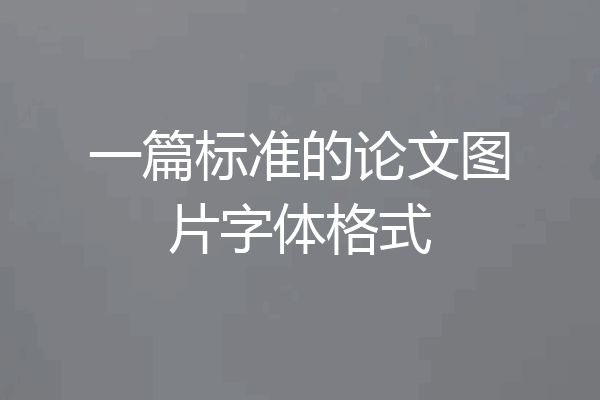 一篇标准的论文图片字体格式