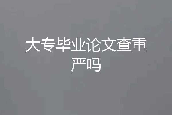 大专毕业论文查重严吗