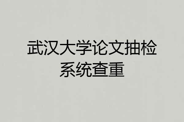 武汉大学论文抽检系统查重