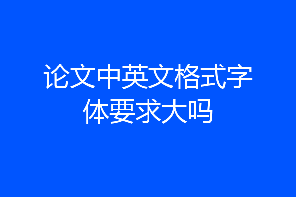 论文中英文格式字体要求大吗
